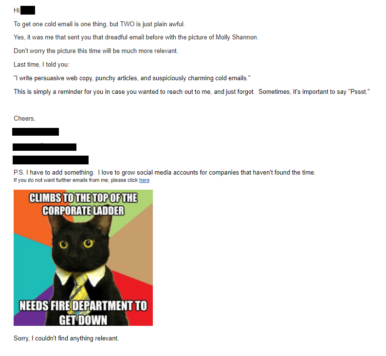 a cold outreach email with a picture of a cat that climbed the corporate ladder