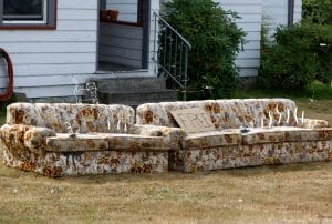 a couch with a sign that says free on it