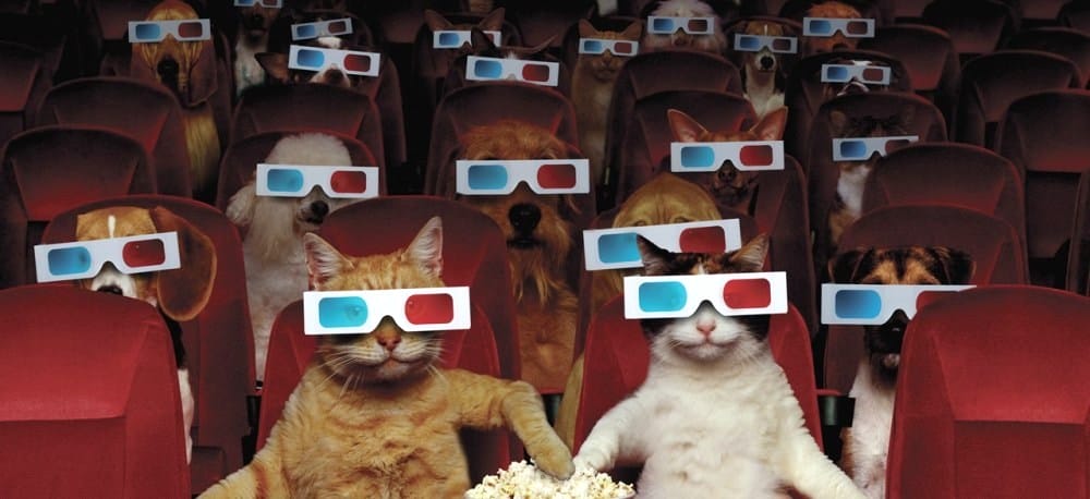 a group of cats and dogs wearing 3d glasses while watching a movie