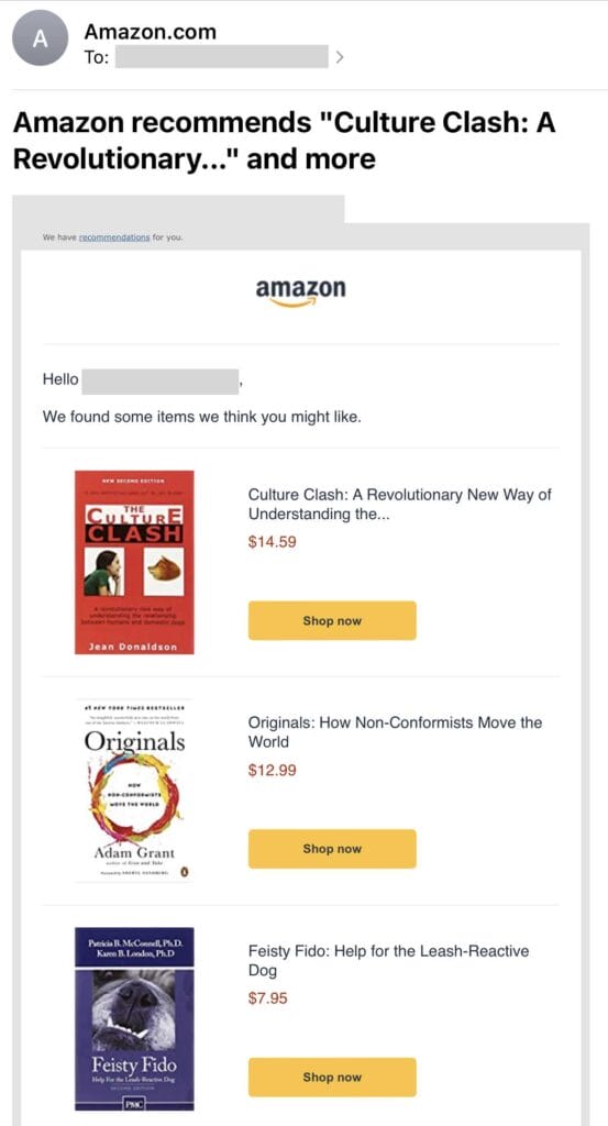 Cross-sell email touchpoint from Amazon