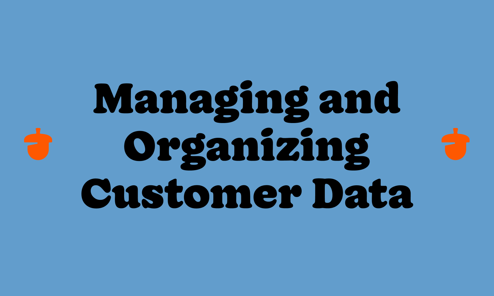 Managing and organizing customer data