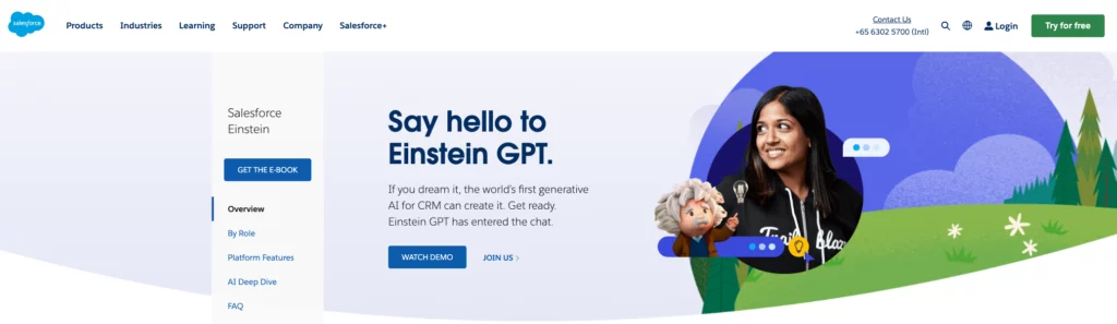 Salesforce AI Einsten GPT website page