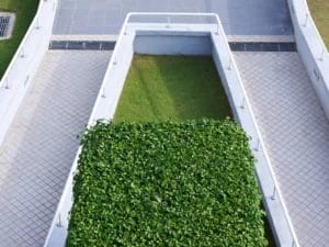 an aerial view of a walkway with a hedge in the middle