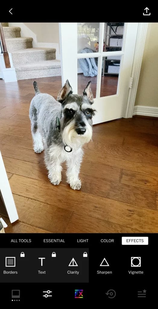 VSCO best free image editor