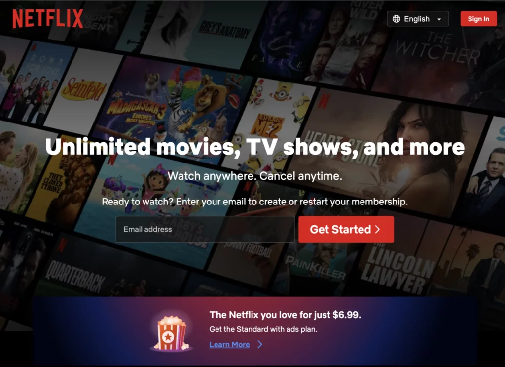 Netflix landing page example