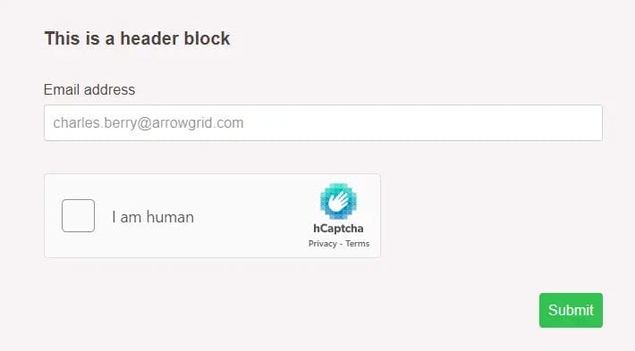 Header block with email address block and human verification block.