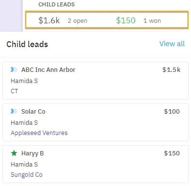 list of child leads for a single company