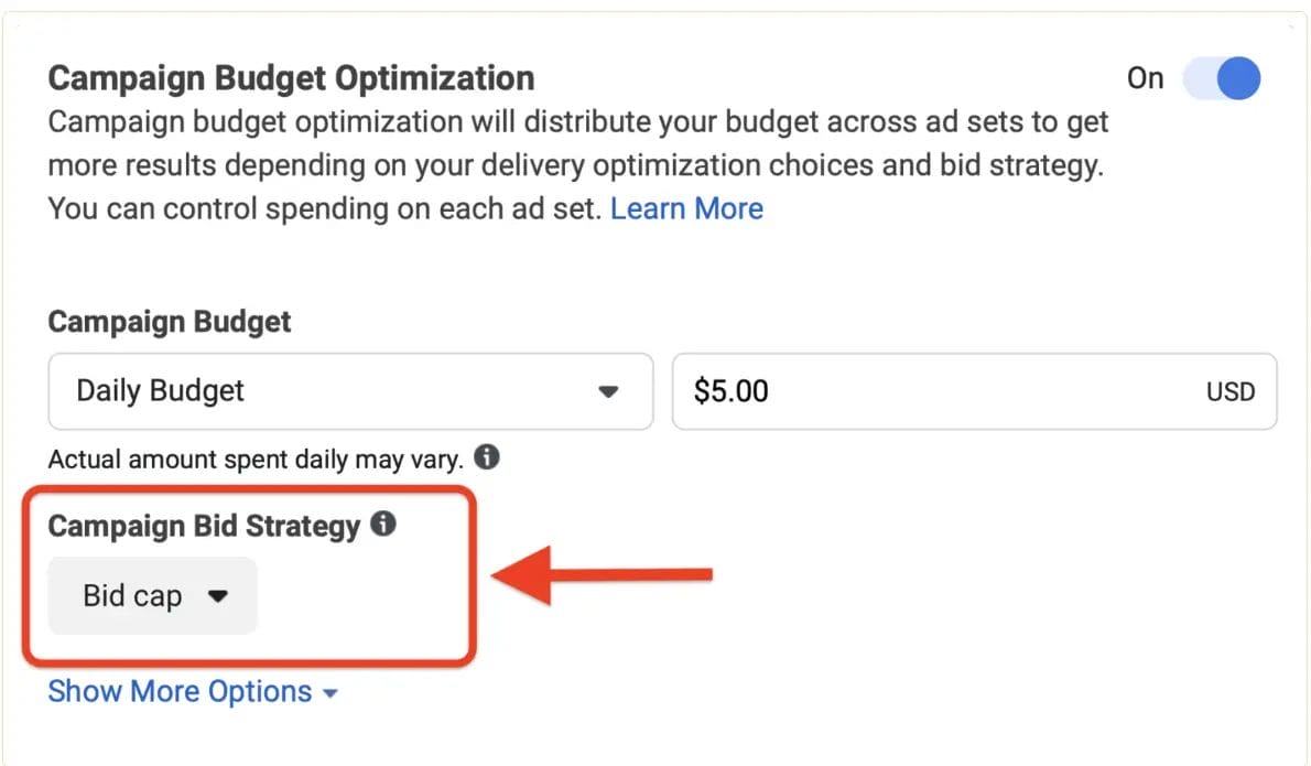 choosing campaign bid strategy for campaign budget optimization