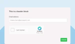 Web Form Spam Prevention