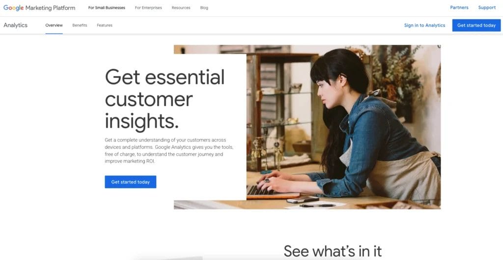 The Google Analytics page